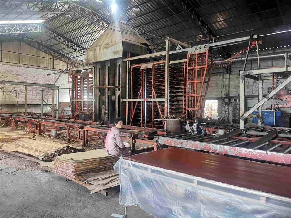 Bamboo Plywood Hot Press suppliers